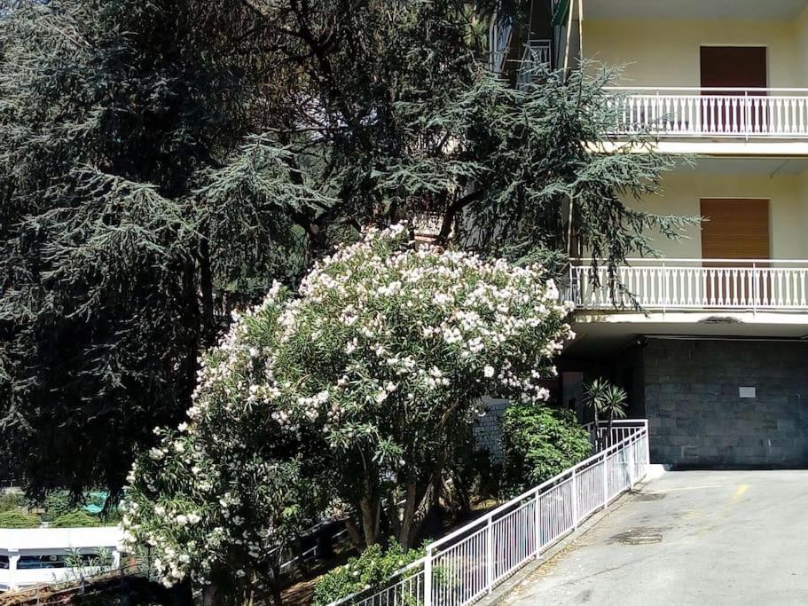 Alma Vacanza Rapallo Eksteriør bilde